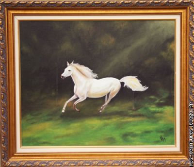 cheval blanc,dimension: 61x50. Prix: 600  avec cadre